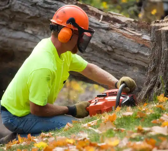 tree services Latimer